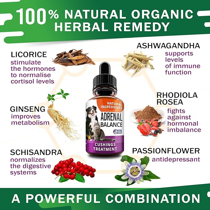 Adrenal Balance for Dogs and Cats - Cushings Treatment for Pets, Adrenal Support w/ Ashwagandha, Licorice Root, Rhodiola Rosea - 2oz Herbal Drops