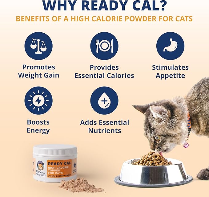 Under the Weather Ready Cal Powder for Cats | High-Calorie Weight Gainer & Appetite Stimulant | Cat Energy Booster Veterinarian-Approved Pet Supplement with Vitamins & Minerals | Chicken Flavor
