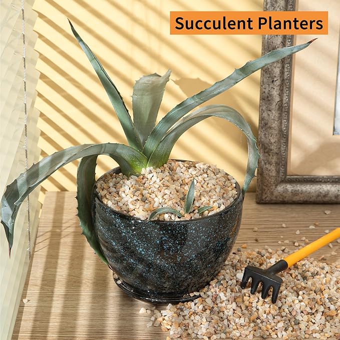 5lb Mixed Sand Rocks Pebbles Pumice Potting Soil Amendment Succulent Cactus Bonsai Gritty Rock Decorative Gravel for Succulents, Bonsai, Vase Fillers,Terrarium Plants