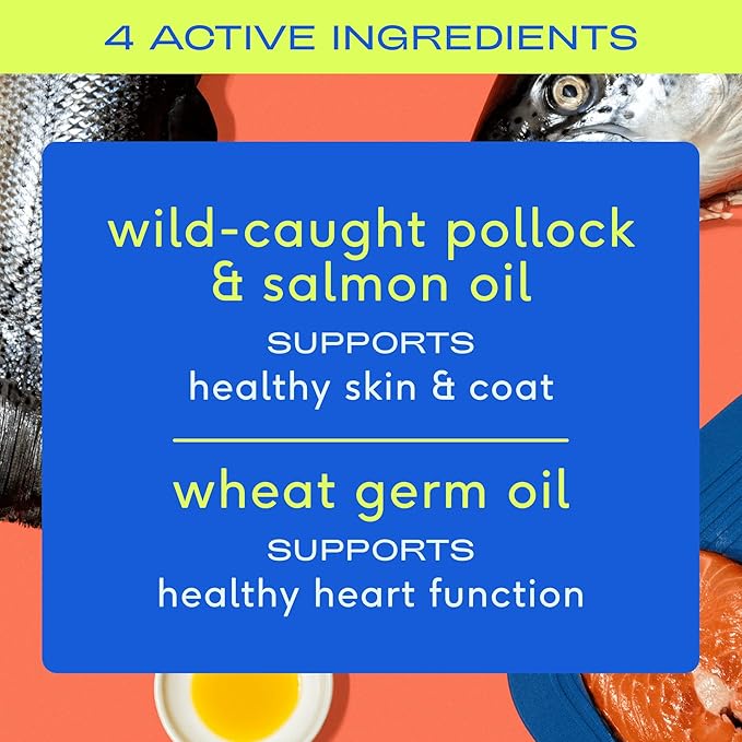 Native Pet Omega Oil for Dogs - Dog Fish Oil Supplements & Relief - Anti-Inflammatory Chews for Dogs | 60 Dog Chews | 8 oz. Omega Oil | Best Dog Arthritis Supplement & Dog Joint Pain Relief