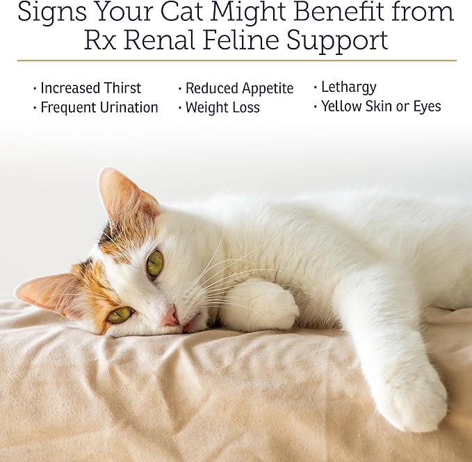 Rx Vitamins Renal Feline Beadlets - Cat Kidney Support with Astragalus Root and Milk Thistle for Cats - Supports Kidney and Immune Health in Cats - 3.52oz