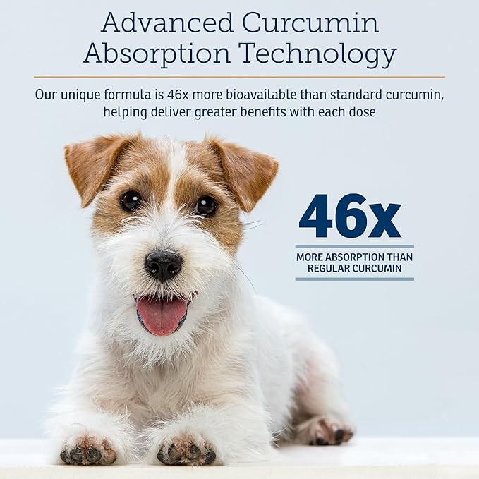 Rx Vitamins CurcuWIN - Curcumin for Dogs & Cats - Vitamins and Supplements, Allergy Relief - Provides Immune Support & Aids Digestive Support - Joint Supplement - 90ct