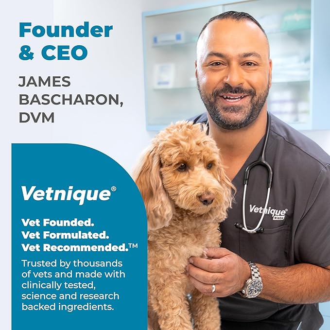 Vetnique Glandex Daily Probiotics for Dogs with Prebiotics to Support Gut Health with Fiber and Digestive Enzymes, Probiotic Chews or Powders (60ct Chews, Bacon Chews)