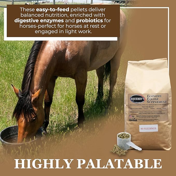 Equerry's Economy Equine Supplement - Horse Probiotics | Supplement for Horses | Horse Vitamins and Minerals Supplement with Enzymes and Selenium, 10lb