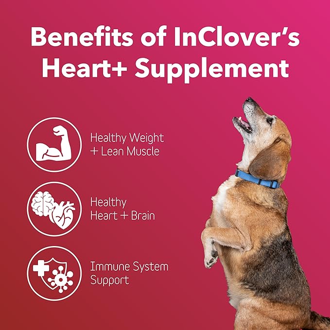InClover Heart+ Dog and Cat Cardiac Health Supplement - Taurine Supplement for Dogs and Cats - Supports Heart & Immune Health, Pet Supplement for Weight Management & Senior Pet Health