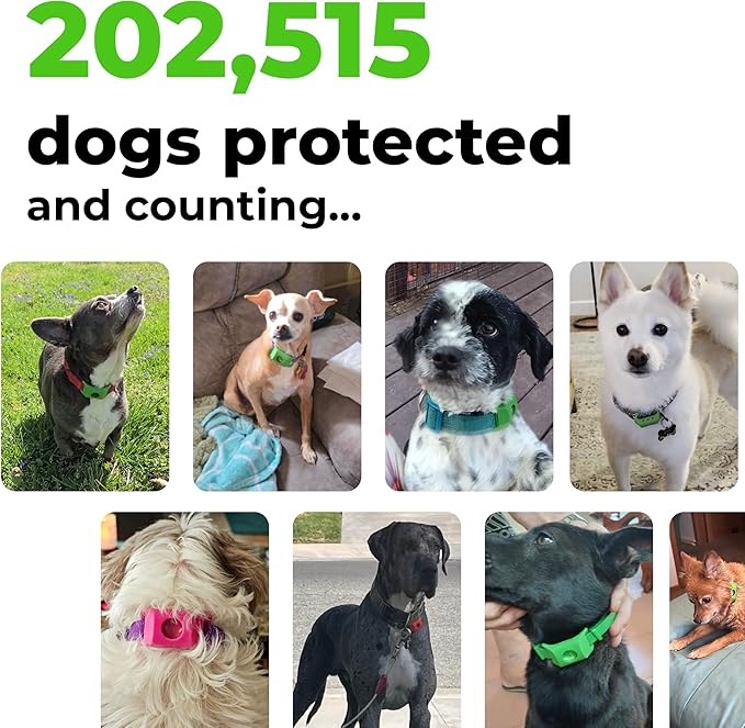 FurLife Black Dog Tag, Flea and Tick Prevention for Dogs - Waterproof Pendant for Collar, Safe for All Breeds