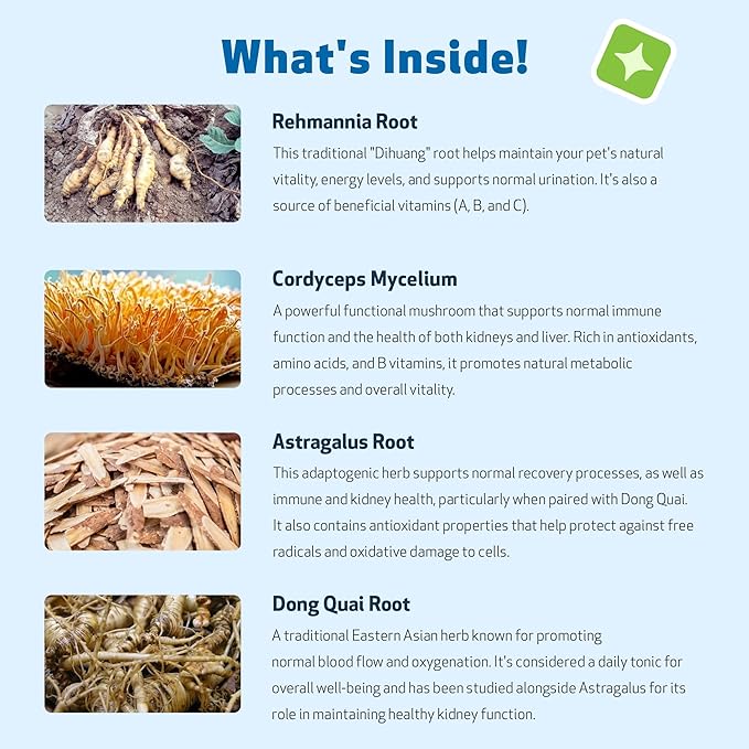 Pet Wellbeing Kidney Support Gold for Cats - Supports Healthy Kidney Function, Fluid Balance, Energy Levels, Rehmannia, Dong Quai - Veterinarian-Formulated Herbal Supplement 2 fl oz (59 ml)