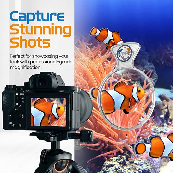 Flipper DeepSee 4" Viewer - Filter Clear Lens and Aquarium Magnetic Magnifier - Fish Tank Magnifying Glass for Coral Reef Aquarium - Magnetic Magnifying Glass Ideal for Photography - Clear