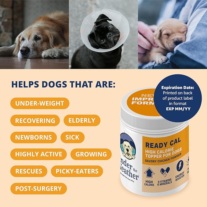 Under the Weather Ready Cal Powder for Dogs, High-Calorie Weight Gainer & Appetite Stimulant, Dog Energy Booster Veterinarian-Approved Pet Supplement with Vitamins & Minerals, Chicken Flavor |10.58 oz