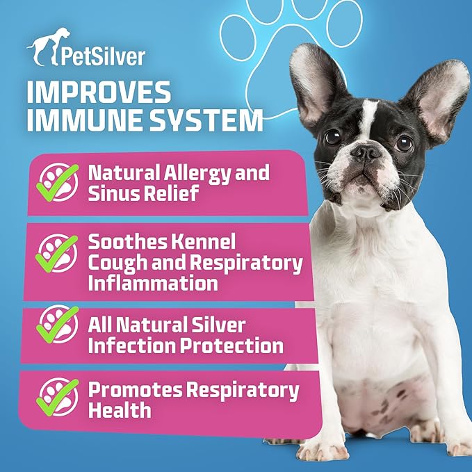 PetSilver Immune Support, Natural Nebulizer Solution, Promotes Respiratory Health in Cats & Dogs, Allergies, Sinus & Cough Treatment, Easy to Use, Patented Chelated Silver, Made in The USA, 16 fl oz