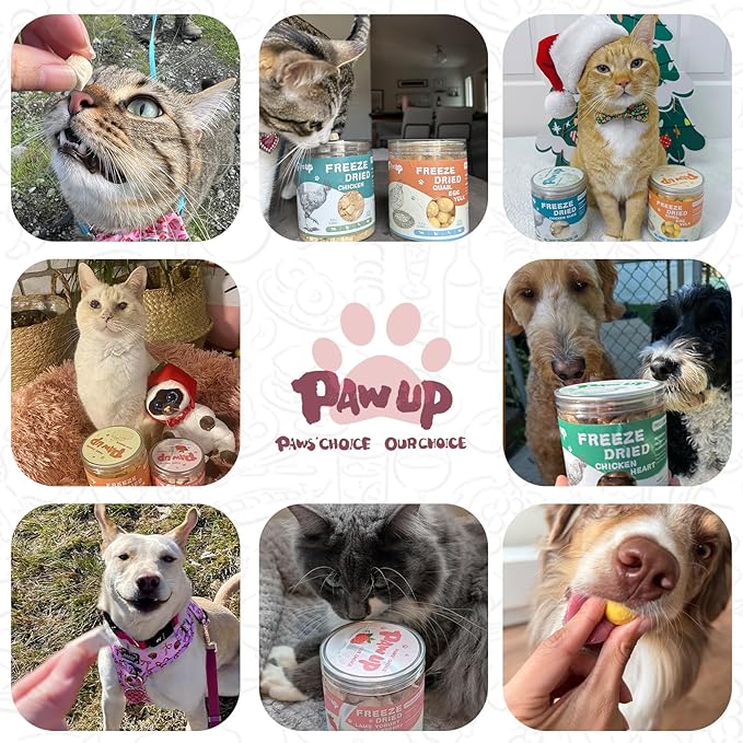 Freeze Dried Sheep Milk Yogurt Flavor with Strawberry,Gentle Sheep Milk Dog Treats for Sensitive Stomachs Puppies, 2.8 oz