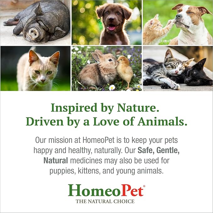 HomeoPet Feline Nose Relief, Safe and Natural Nasal and Sinus Supplement for Cats, 15 Milliliters