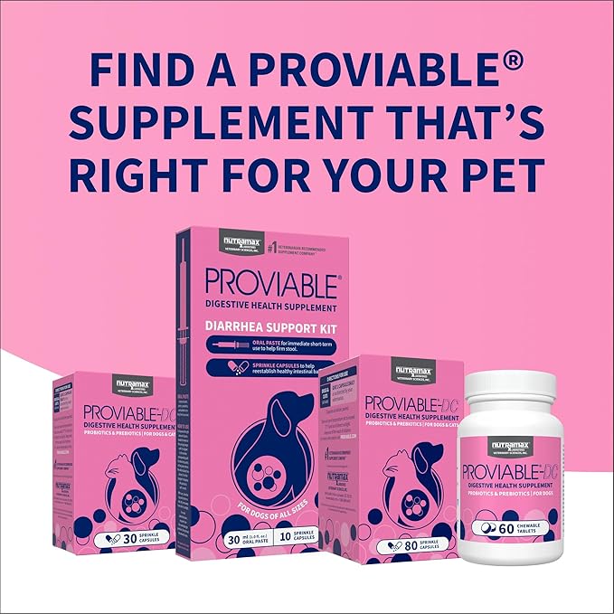 Nutramax Laboratories 30 Count Proviable Health Supplement for Cats and Dogs (PROVDC30)