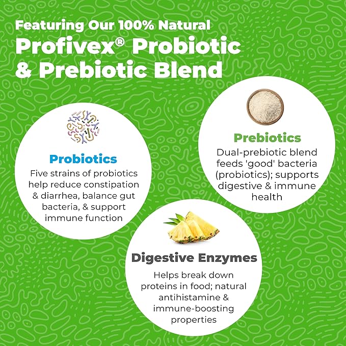 Vetnique Glandex Daily Probiotics for Dogs with Prebiotics to Support Gut Health with Fiber and Digestive Enzymes, Probiotic Chews or Powders (60ct Chews, Bacon Chews)