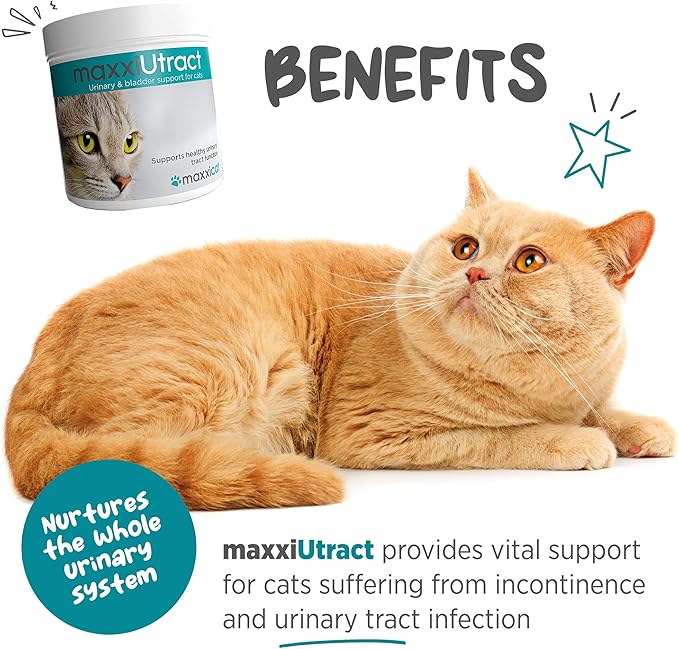 maxxipaws maxxiUtract Urinary & Bladder Support - Powder Supplement for Cats, 2.1oz