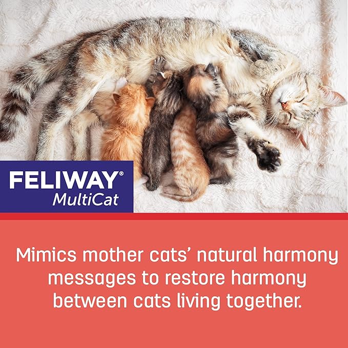 FELIWAY MultiCat 30 Day Cat Calming Plug In Pheromone Diffuser Starter Kit, 48ml - Helps Reduce Conflicts and Signs of Tension in Multi-Cat Households