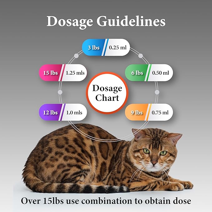 No More Tapeworms in Cats - Dewormer for Cats - 3ml Dropper