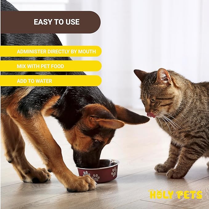 Cough Medicine for Dogs & Cats, Respiratory Infection Support - Sneezing Relief & Kennel Cough Treatment - Pet Asthma Support - Made with Natural Ingredients in The USA