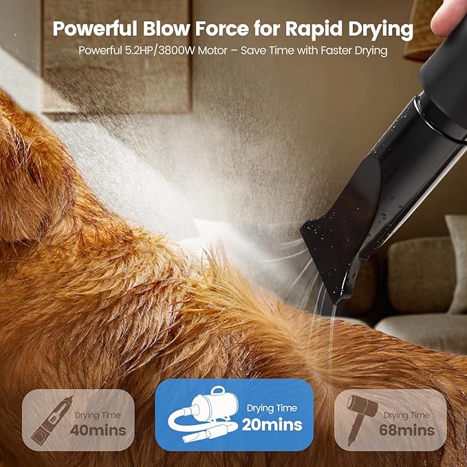 Dog Dryer, 5.2HP/3800W High Velocity Dog Hair Dryer with 4 Nozzles, Stepless Adjustable Speed & Temperature Control, Low Noise Professional Dog Grooming Dryer (Blue)