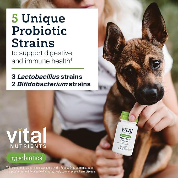 Vital Nutrients Pro Pets Probiotics for Dogs and Cats | Dog Probiotics for Digestive Health, Gut Health, Occasional Diarrhea* | Tasty Meat Flavor | Non-GMO | Hyperbiotics | 60 Micro Tablets