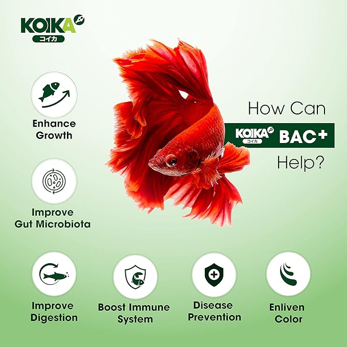 KOIKA BAC+ Aquarium Probiotics, Immunity Boosting, Disease Resistance & Improve The Digestive System (BAC+,120ml)