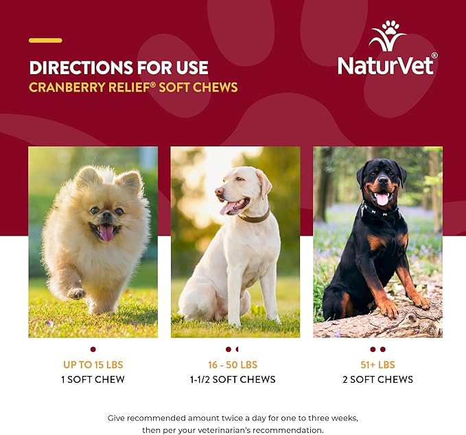 NaturVet – Cranberry Relief Plus Echinacea – Helps Support a Healthy Urinary Tract & Immune System – 120 Soft Chews