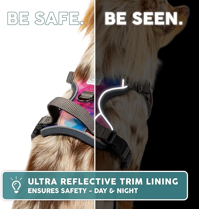 Embark Adventure Dog Harness, No-Pull Reflective Trim Dog Harness for Small, Medium & Large Dogs - Heavy Duty Oxford, 2 Leash Clips & Gel Lined Handle. Soft & Padded Puppy Dog Vest for Any Breed