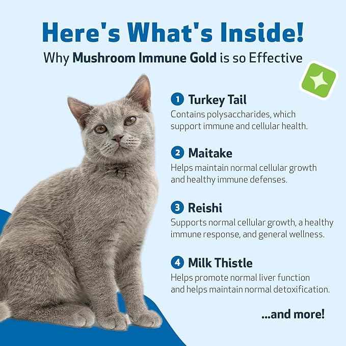 Pet Wellbeing Mushroom Immune Gold for Cats - Holistic Immune Support with Reishi, Maitake, Turkey Tail, and Milk Thistle - Veterinarian-Formulated Functional Mushroom Supplement 8 oz (237 ml)