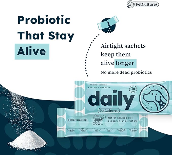 Daily Synbiotic Formula - A TriBiotic Blend with 6 Strains, B-Vitamins, and Digestive Enzymes in 30 Packs