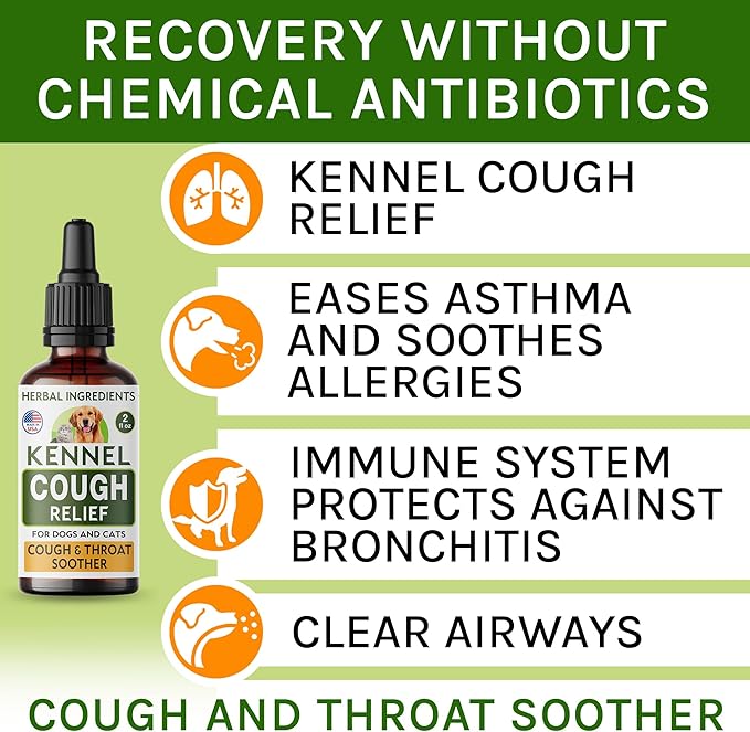 Kennel Cough Herbal Drops for Dogs & Cats - Cough Relief - Throat Soother - Dry and Wet Pet Cough - Made in US - 2 Fl Oz