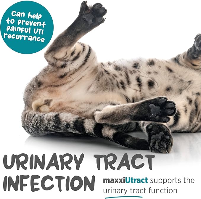 maxxipaws maxxiUtract Urinary & Bladder Support - Powder Supplement for Cats, 2.1oz