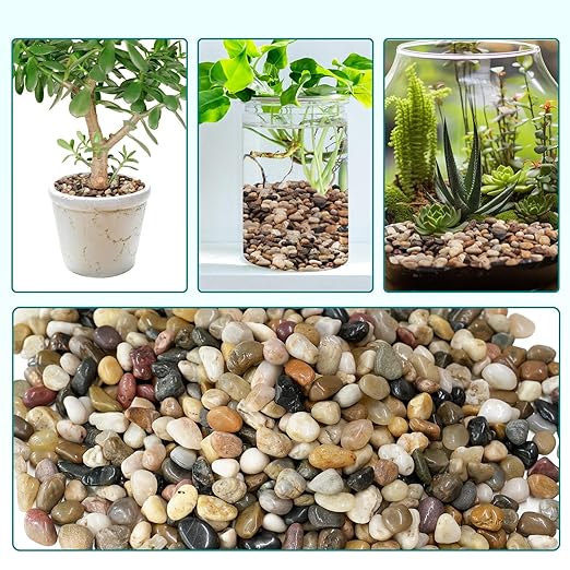 10 lbs Pebbles for Indoor Plants, Vase, Succulent, 3/8" Gravel for Plants, Pots Indoor, Bamboo Rocks for Bamboo Plants, Decorative Small River Rock, Highly Polished