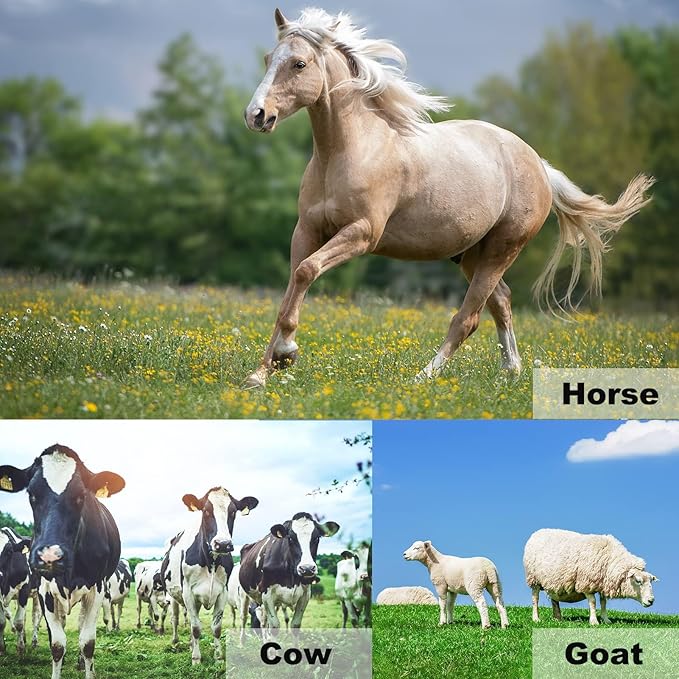 1112 Temp 11pcs Farrier Tools Farrier kit Horse shoeing Tools Farrier Supplies Farrier Tools for Horses Cattle Sheep and Donkeys