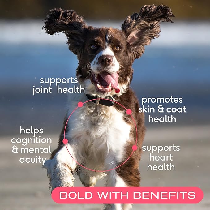 Native Pet The Daily Dog Supplement (60 Scoops) & Salmon Oil for Dogs & Cats (8 Oz) - 11 in 1 Multivitamin & Pure Omega-3 Fish Oil Supplement for Skin & Coat, Joint, Heart Health & Anti-Inflammatory