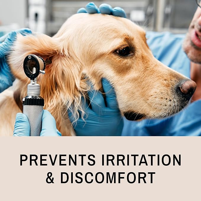 Eye Envy Fresh Ear Cleaning Wipes for Dogs. Made in The USA from Natural Ingredients. Unscented. Prevents Infections. Safe and Non-Irritating. Removes Dirt, Debris, and Wax buildup. 60 Count.