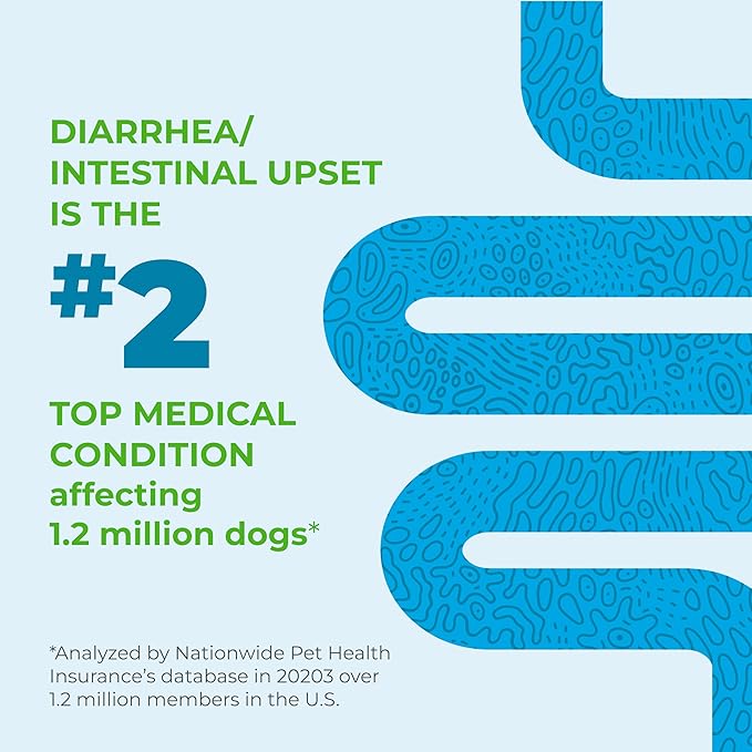 Vetnique Glandex Daily Probiotics for Dogs with Prebiotics to Support Gut Health with Fiber and Digestive Enzymes, Probiotic Chews or Powders (120ct Chews, Bacon Chews)