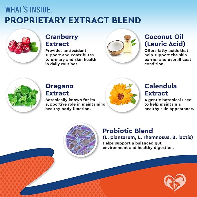 Natural Cats & Dogs Yeast Infection Anti Itch Treatment - Itchy Ears, Skin & Allergy Symptoms Relief - Reduces Inflammation & Relieves Irritation - Herbal Medicine Supplement Drops