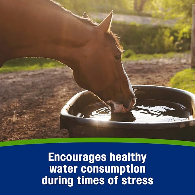 Farnam Apple Elite Electrolyte Paste Supplement for Horses, Replaces Vital Minerals, Encourages Hydration, No Added Sugar, 60 cc syringe