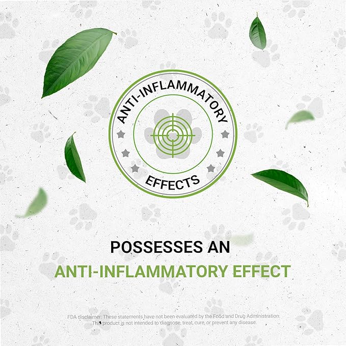 Lion's Blood Pressure | Natural Herbal Dietary Supplement for Cats | Healthy Blood Pressure Support in Cats | Alcohol-Free Extract, Dandelion Root, Lemon Balm, Calendula, Lavender, Fennel 2 oz