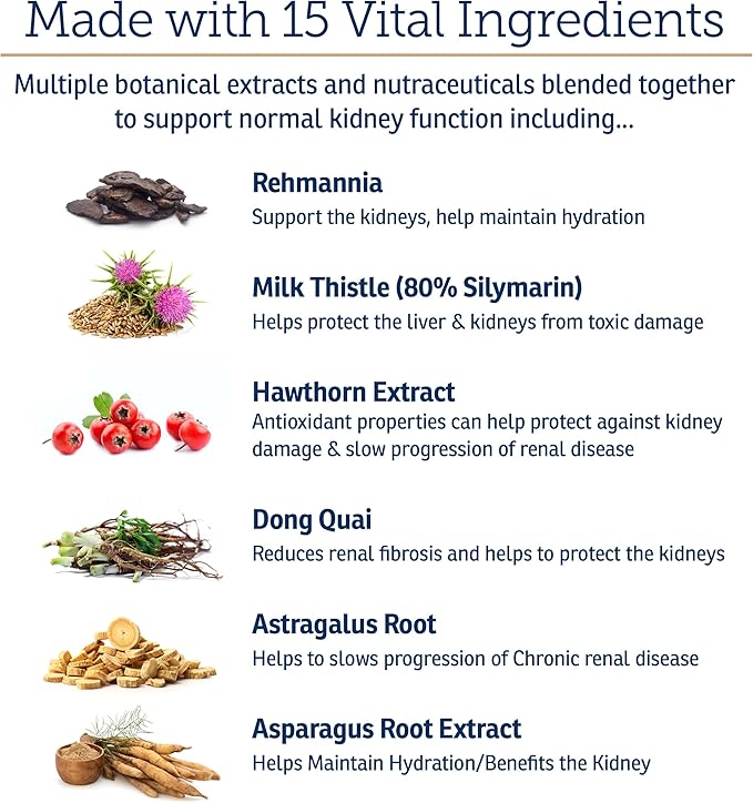 Rx Vitamins Renal Feline Beadlets - Cat Kidney Support with Astragalus Root and Milk Thistle for Cats - Supports Kidney and Immune Health in Cats - 3.52oz