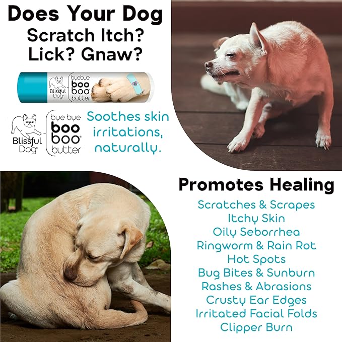 The Blissful Dog Blue Heeler Boo Butter, 2 oz