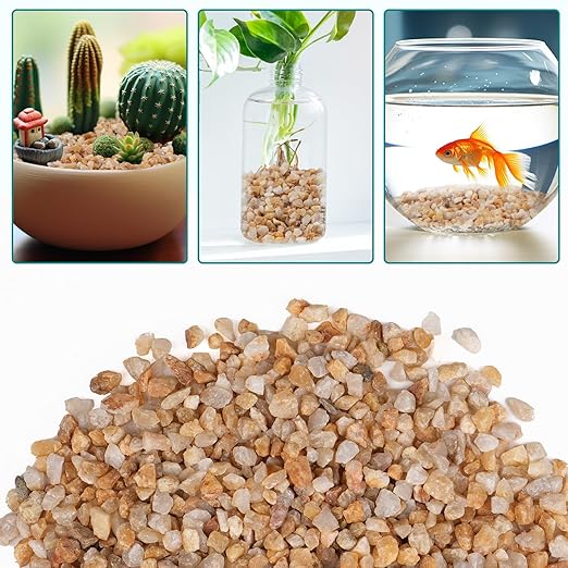 2.5 lbs Coarse Sand for Plants, 1/5 Inch Horticultural Sand for Vases, Aquariums, Terrarium, Fish Tank, Drainage Rocks for Potted Plants, Bamboo, Succulent, Crafts, Cactus