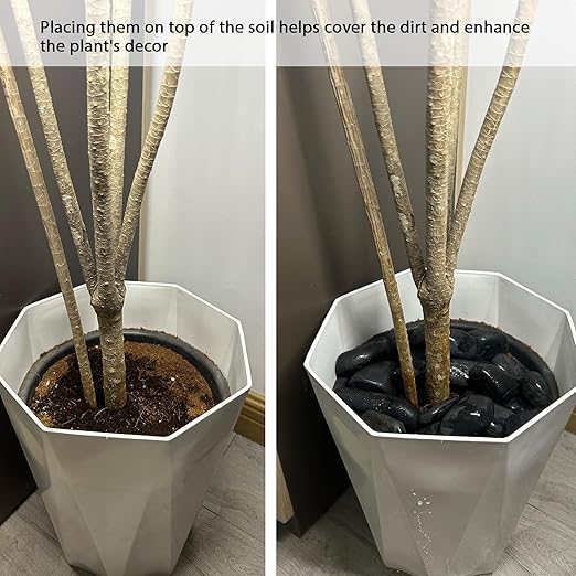 2LB 1"-2" Black River Rocks for Plants, Polished Pebbles for Garden Landscaping, Planters, Aquariums, Vase Fillers – Indoor & Outdoor Decor