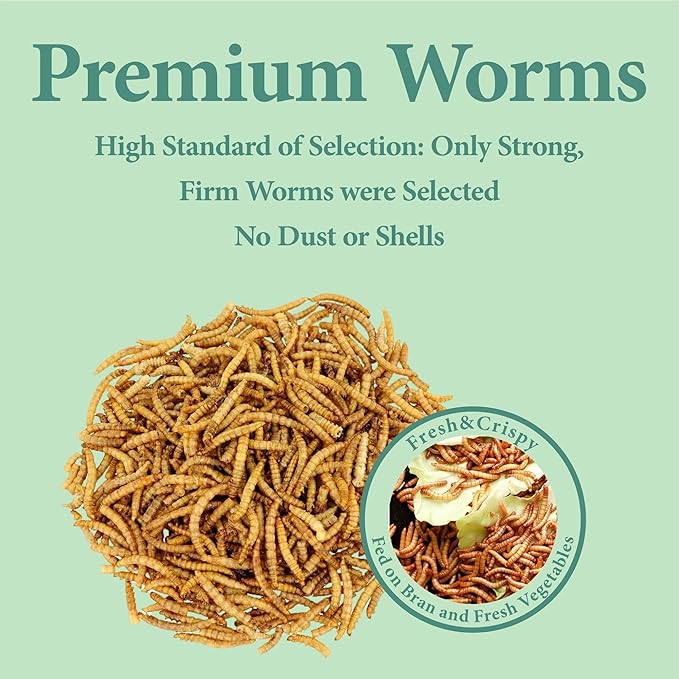 10LB Dried Mealworms, High Protein Meal Worms for Poultry, Wild Birds, Hedgehogs, Hamsters, Reptiles, Great Chicken Food, Bird Food