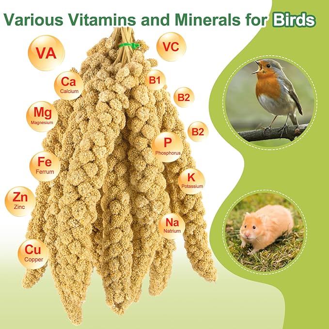 2LB Spray Millet Bird Treat for Parakeets, Natural Sun-Dried Birds Millet Spray for Parrots, Finches, Cockatiel, Budgie & Hamster, Bird Food Bulk