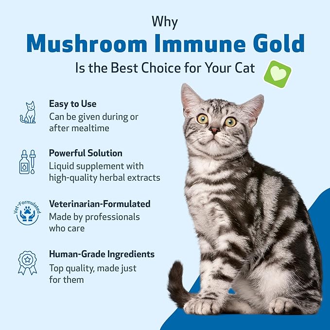 Pet Wellbeing Mushroom Immune Gold for Cats - Holistic Immune Support with Reishi, Maitake, Turkey Tail, and Milk Thistle - Veterinarian-Formulated Functional Mushroom Supplement 8 oz (237 ml)