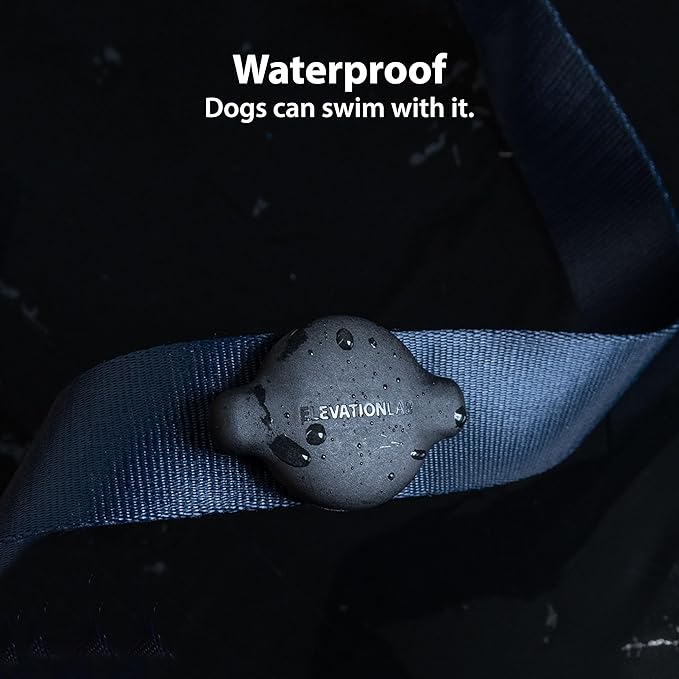 Elevation Lab TagVault™ Compact AirTag Dog Collar Mount - IP68 Waterproof, Doesn't Dangle, Fits All Width Collars