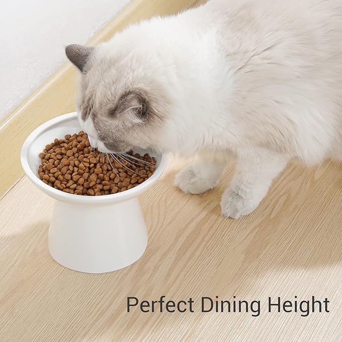 Extra Wide Elevated Ceramic Cat Bowl - 6.2" Shallow Dish for Whisker Fatigue Relief, 5" Height for Easy Feeding, Lead & Cadmium Free, Durable Raised Cat Food Bowls, White