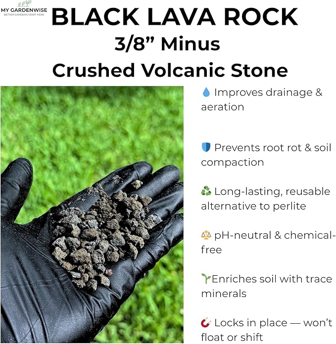 Lava Rocks for Plants (3/8’’ Minus), Natural Black Lava Rocks, Succulent & Terrarium Horticultural Volcanic Rock, Ideal Drainage for Potted Plants, Made in USA (5 qts - 9 lbs)