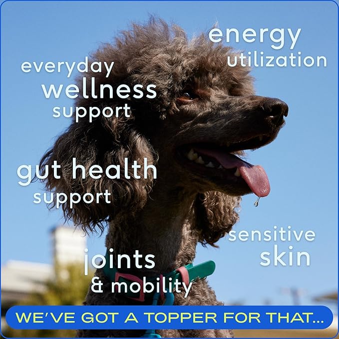 Native Pet Pack Leaders Bundle - Daily Dog Multivitamin (7 oz.) & Omega Oil for Dogs (8 oz.) - Omega 3 Fish Oil for Healthy Skin, Shiny Coat, & Strong Joints & Daily Multivitamin for Dogs